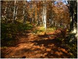 Planina - Dom na Mirni gori